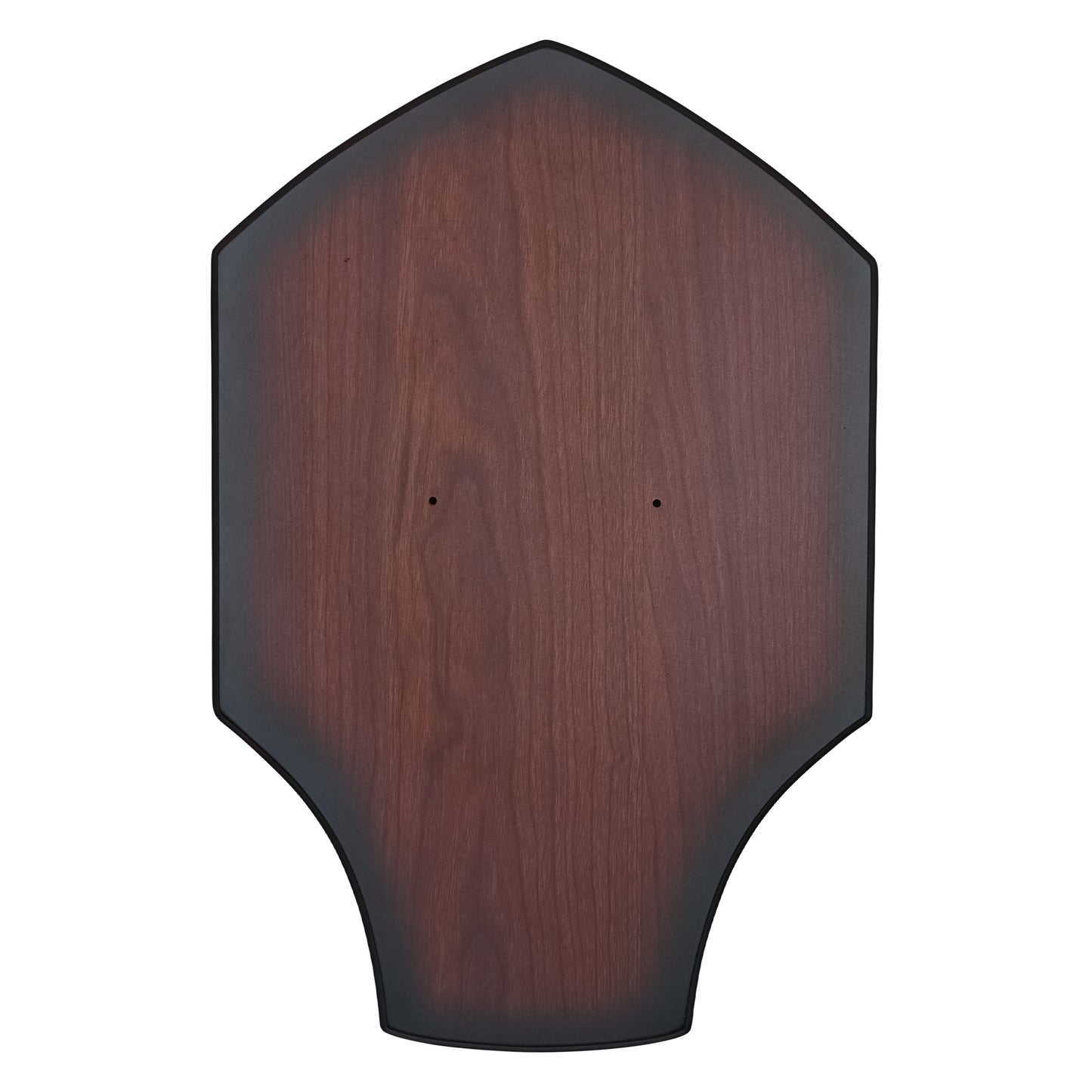 Demon's Souls – 47" Penetrating Sword | Collectible Metal Sword